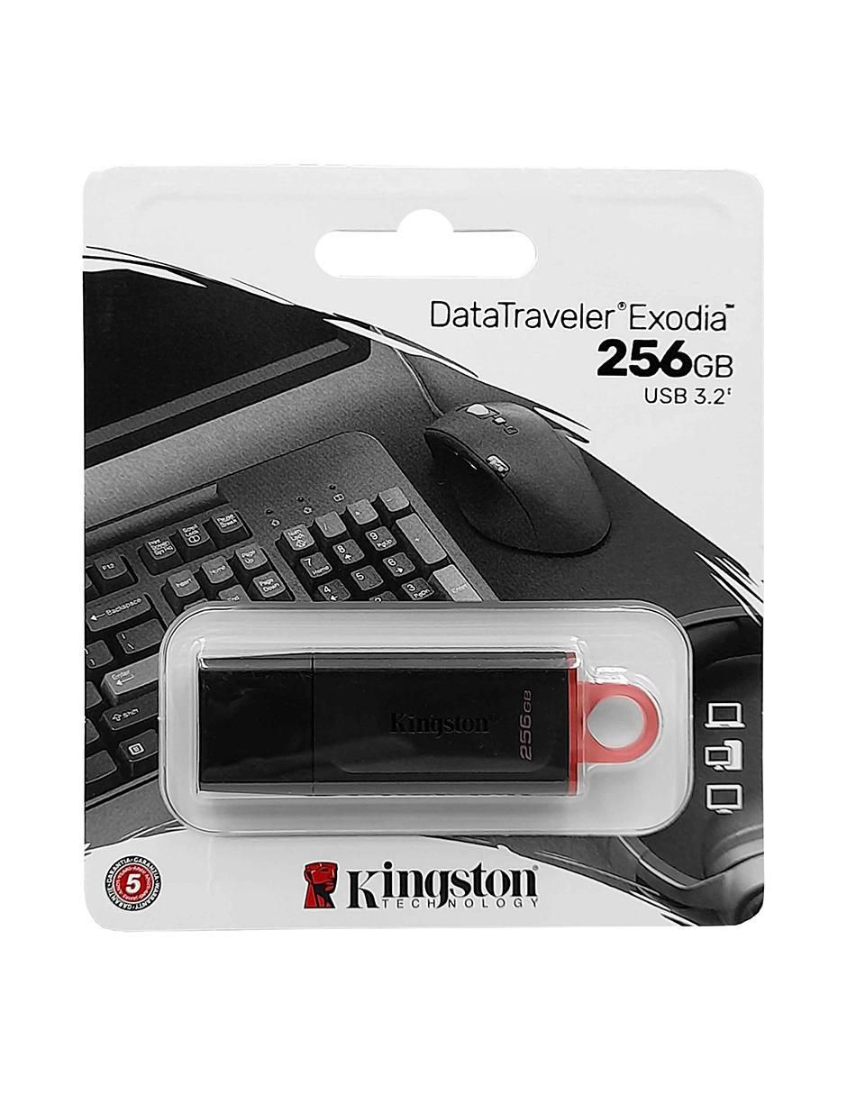 Memoria USB 256 GB DTX/256GB 6