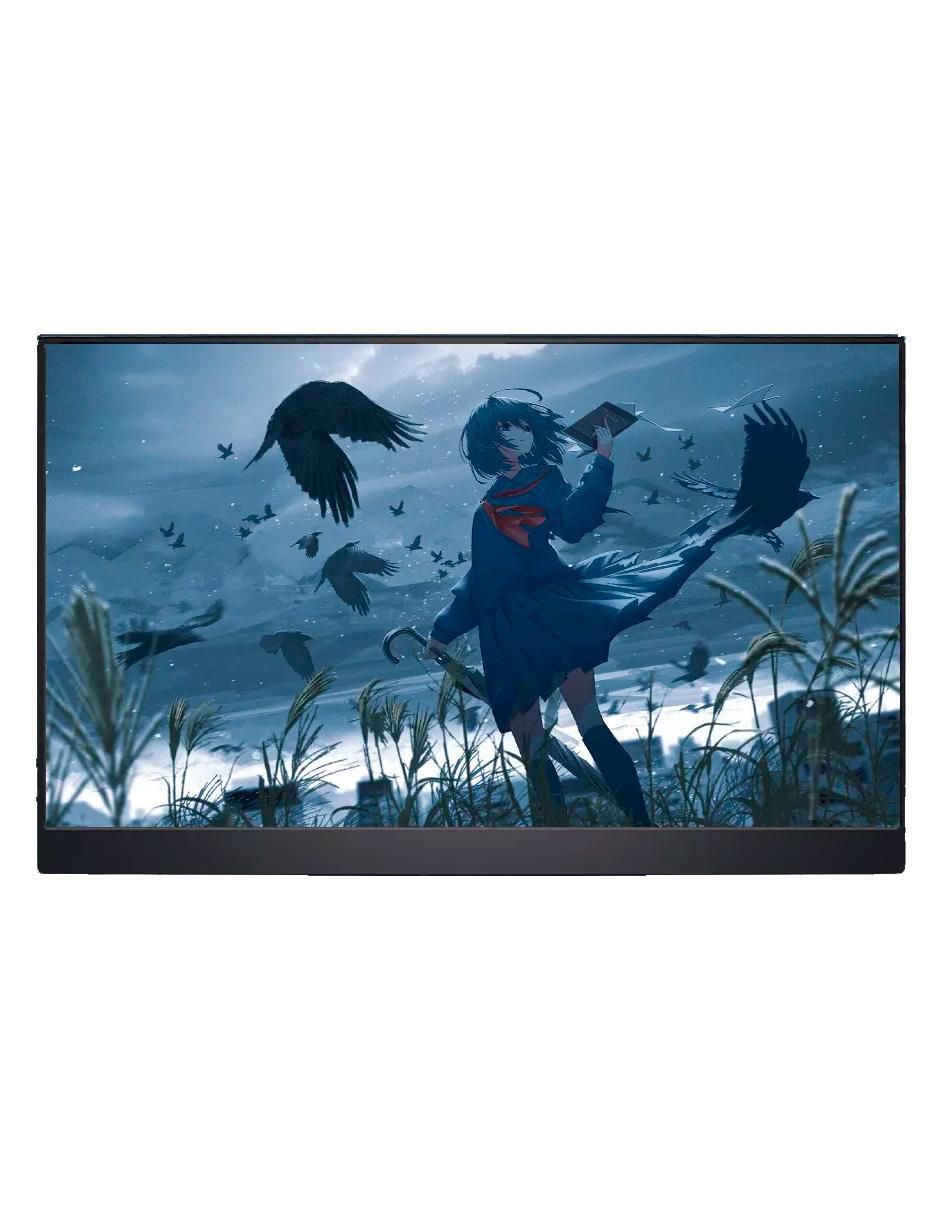 Monitor portátil standard full HD 15.6 pulgadas 156FC 7