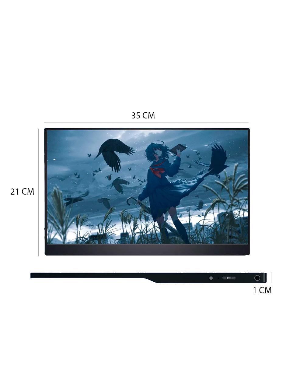 Monitor portátil standard full HD 15.6 pulgadas 156FC 12