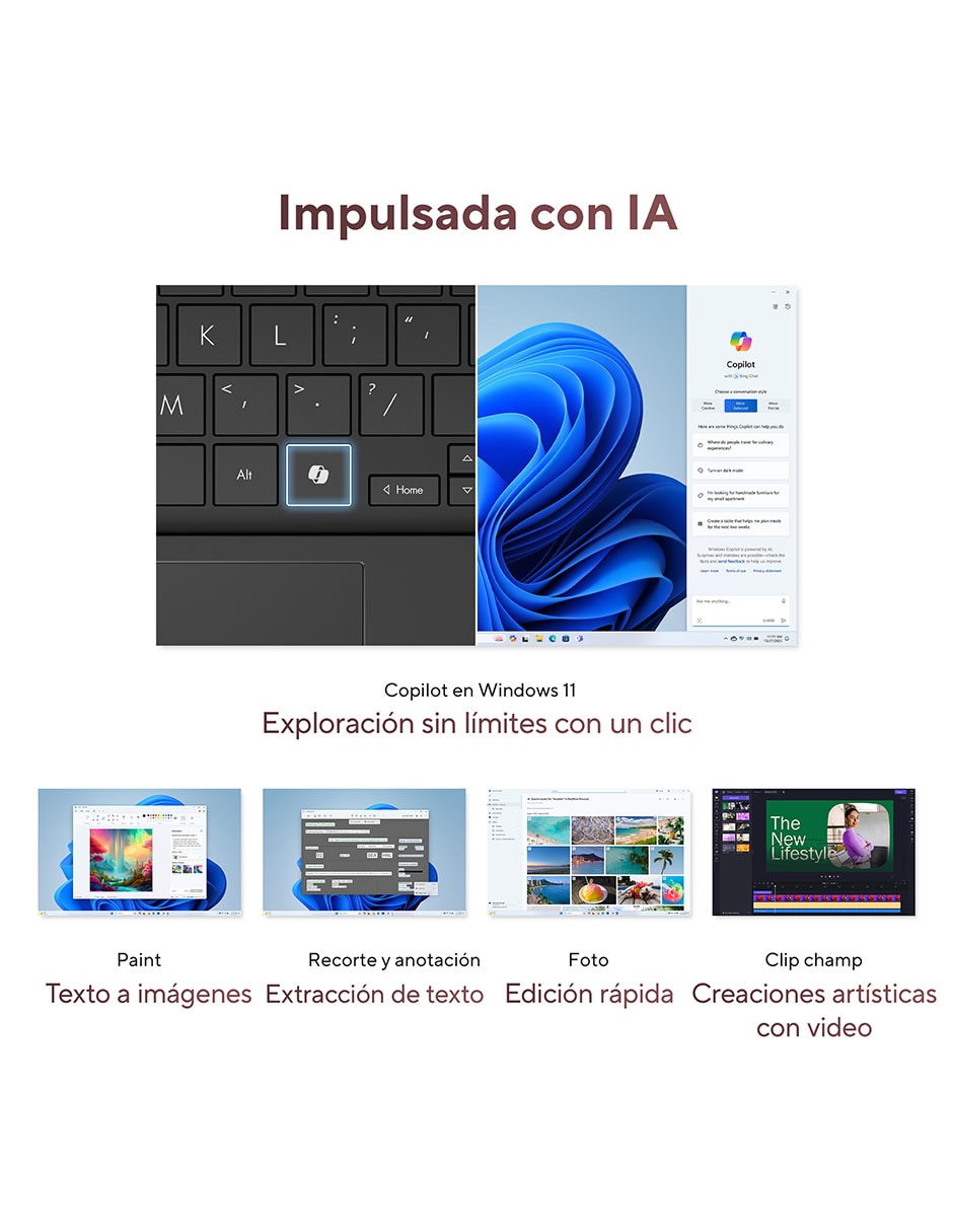 Laptop Asus Zenbook 14 pulgadas WUXGA AMD Ryzen AI 5 340 AMD Radeon 16 GB RAM 512 GB SSD