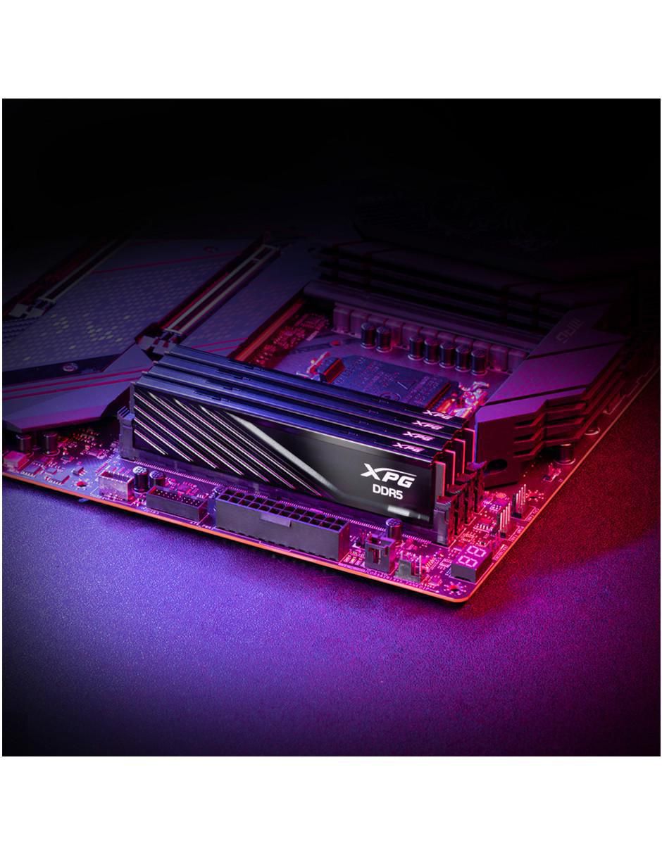 Memoria RAM DIMM DDR5 16 GB AX5U5600C4616G-SLABBK 4