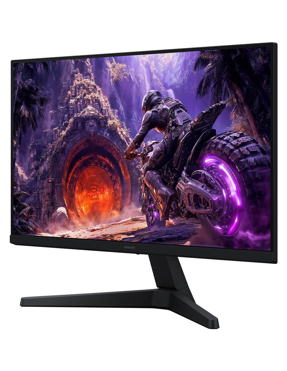 Monitor gamer LS24HG300ELXZX IPS Full HD 12 pulgadas 5