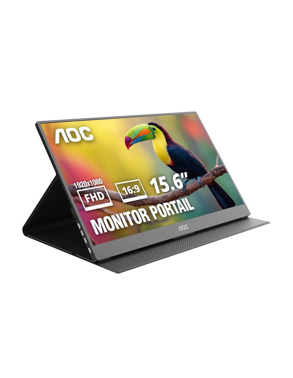 Monitor IPS Full HD 15.6 pulgadas 0685417741182