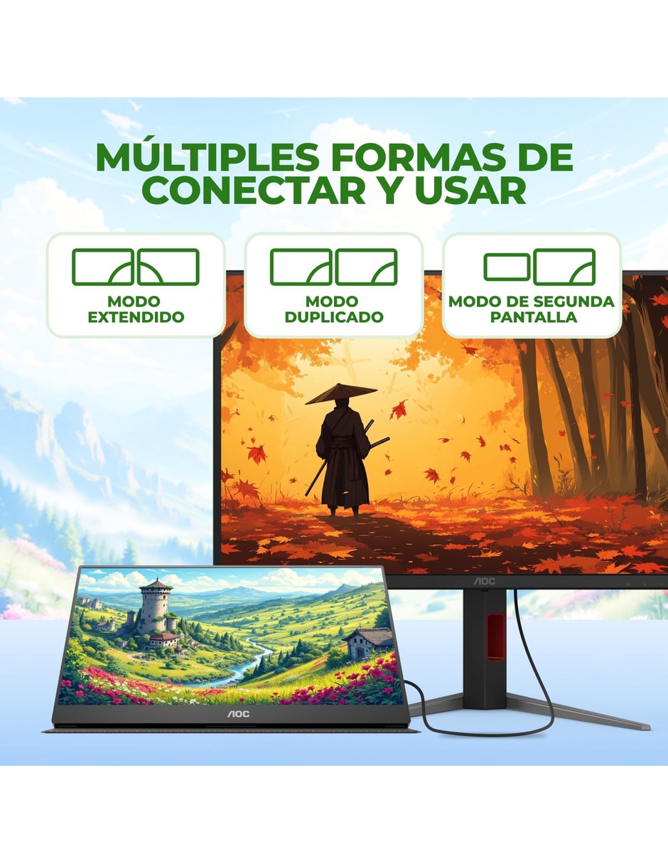Monitor IPS Full HD 15.6 pulgadas 0685417741182