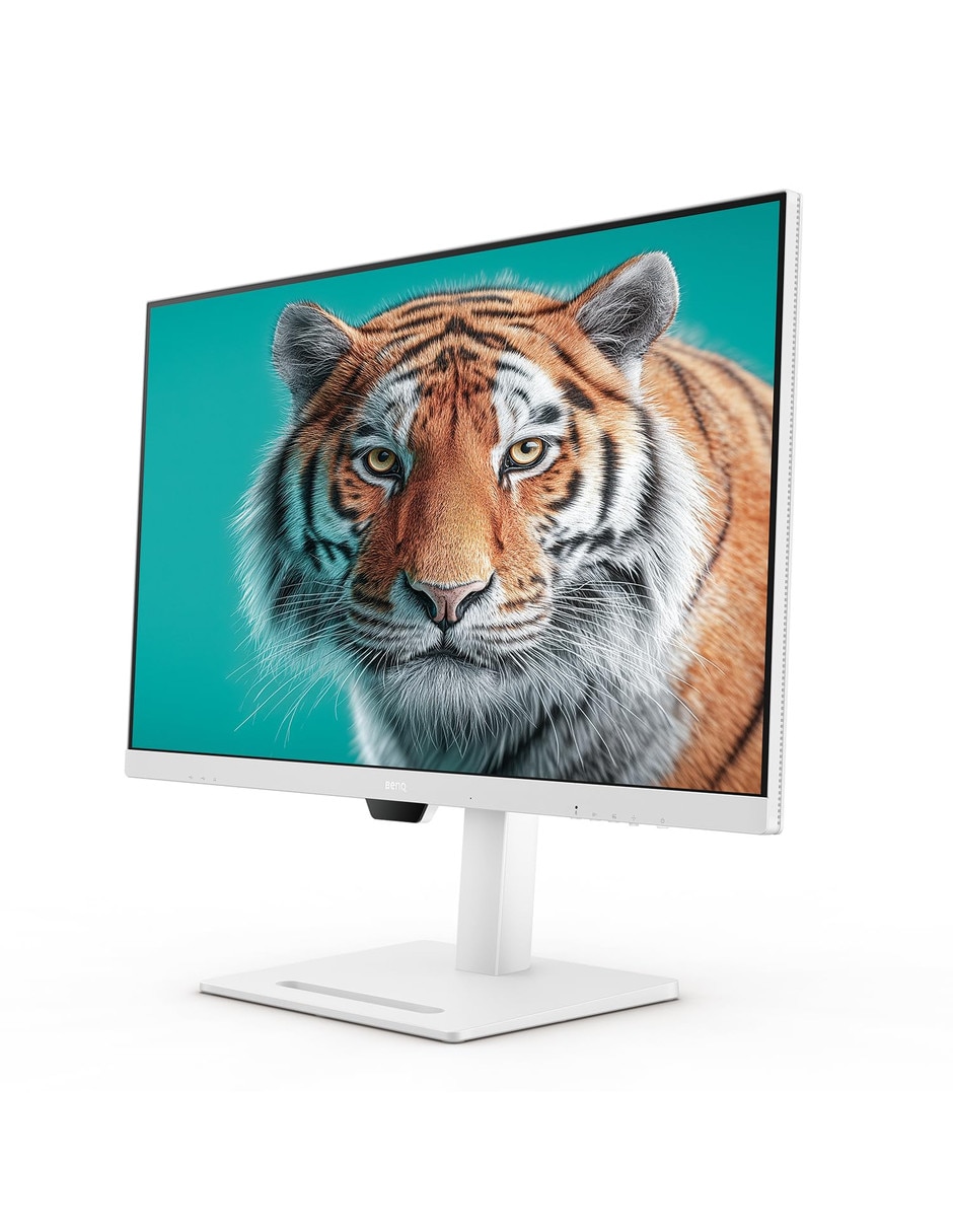 IPS QHD 31.5 pulgadas 4718755089497 5