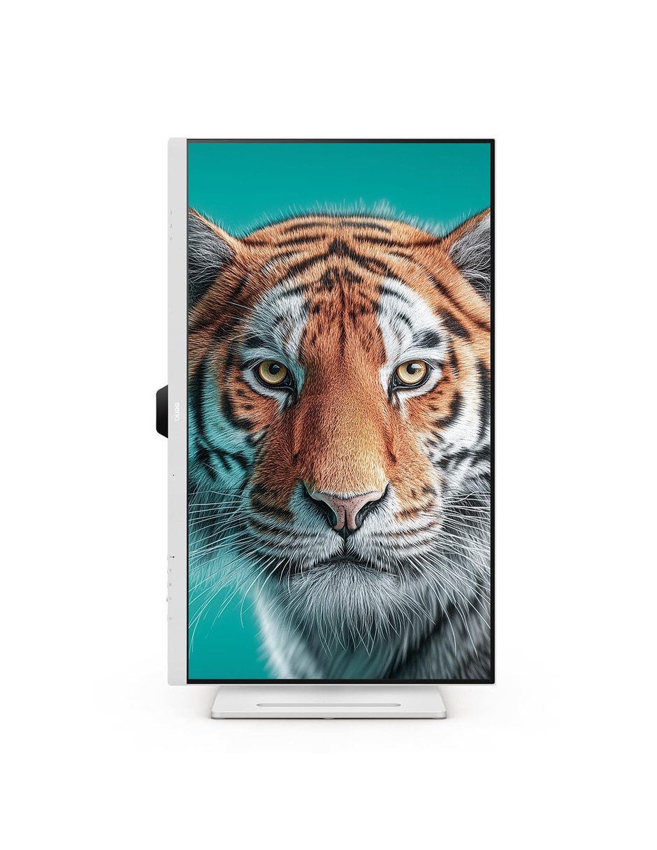 IPS QHD 31.5 pulgadas 4718755089497