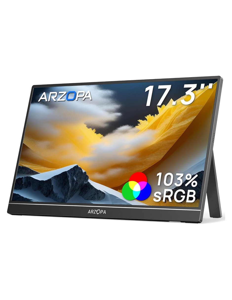 Monitor IPS Full HD 17.3 pulgadas