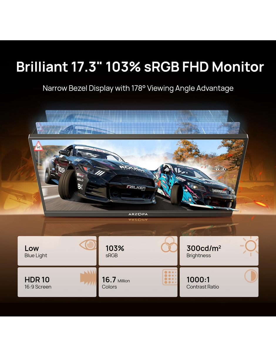 Monitor IPS Full HD 17.3 pulgadas 5