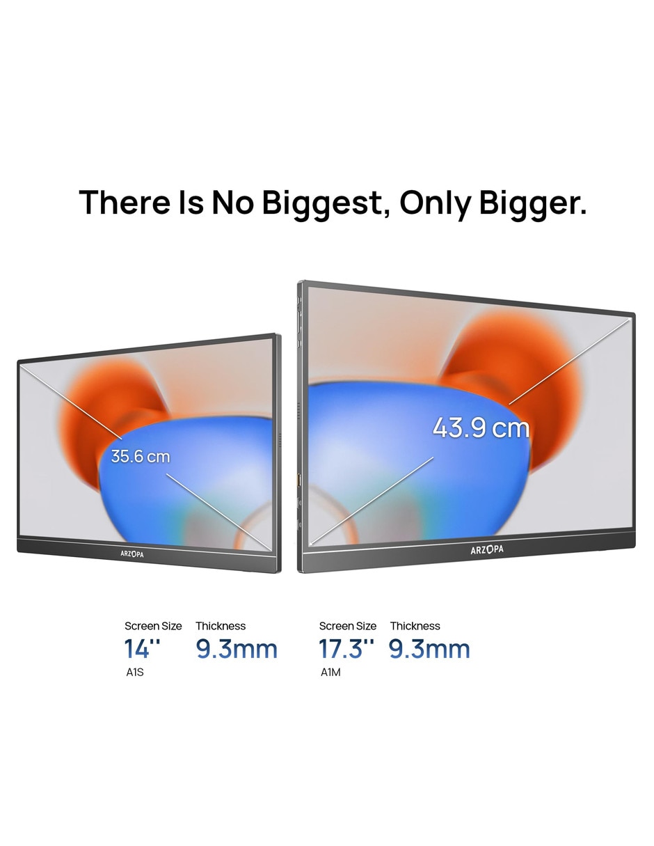 Monitor IPS Full HD 17.3 pulgadas
